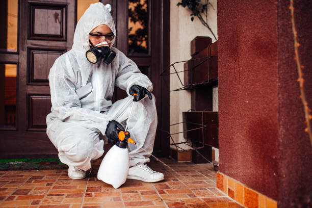 Reliable Cockroach Control contractor in Fairburn, GA by Nex Pest Control