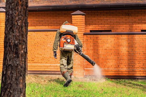 Trusted Cockroach Control service in Fairburn, GA - Nex Pest Control